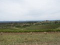 0102-1322 Milfield winery (1060845)